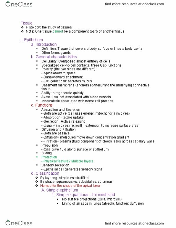 IPHY 3410 Lecture Notes - Lecture 2: Goblet Cell, Microvillus, Neuron thumbnail