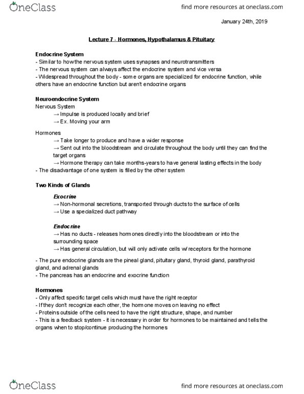 Health Sciences 3300A/B Lecture Notes - Lecture 7: Parathyroid Gland, Pituitary Gland, Pineal Gland thumbnail