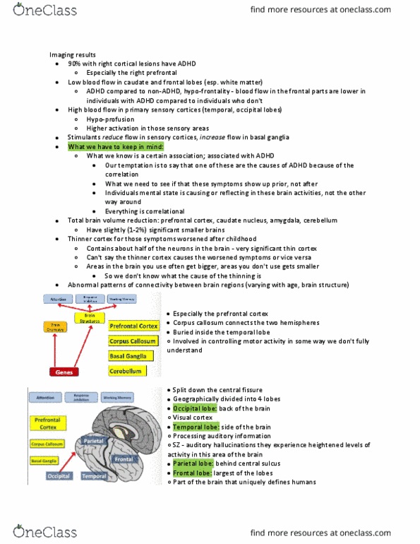 PSYCH 2AP3 Lecture 8: Neurodevelopmental disorders- ADHD cont'd thumbnail