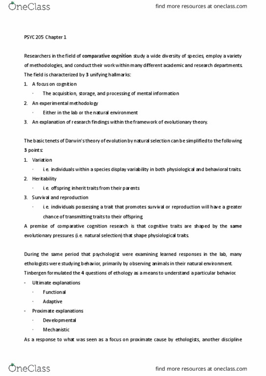 document preview image