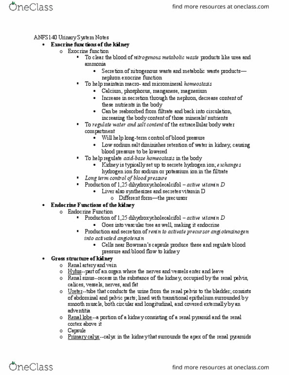 ANFS 240 Lecture 5: Urinary System Notes thumbnail