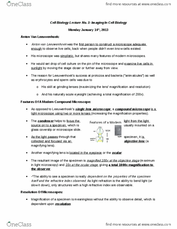 Biology 2382B Lecture Notes - 3D Reconstruction, Tubulin, Monoclonal Antibody thumbnail