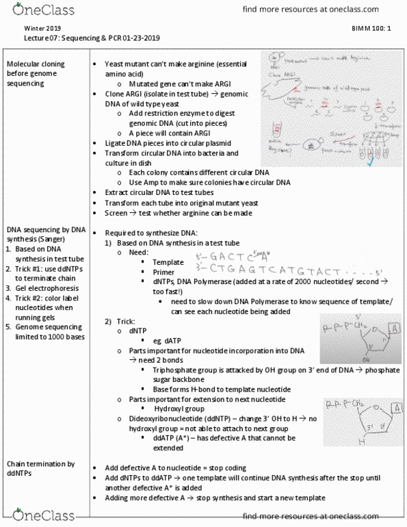 BIMM 100 Lecture 7: Sequencing & PCR 01-23-2019 thumbnail