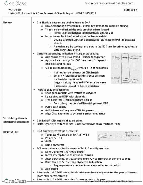 BIMM 100 Lecture 8: Recombinant DNA Genomes & Simple Sequence DNA 01-25-201 thumbnail