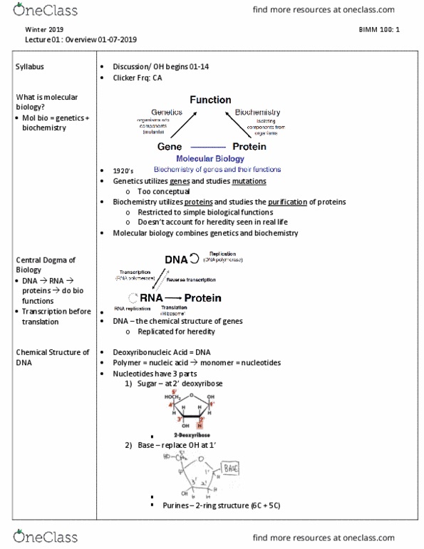 BIMM 100 Lecture Notes - Lecture 1: Deoxyribose, Heredity, Cell Nucleus thumbnail