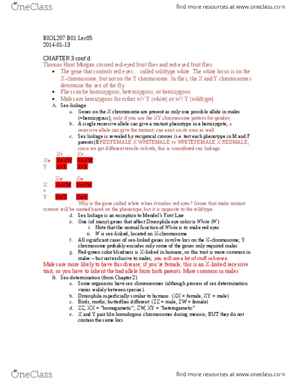 BIOL207 Lecture Notes - Lecture 5: Epistasis, Meiosis, Thomas Hunt Morgan thumbnail