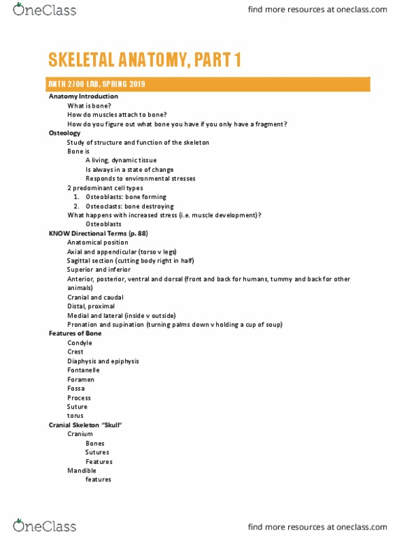 ANTH 2700 Lecture Notes - Lecture 1: Osteology, Diaphysis, Standard Anatomical Position thumbnail