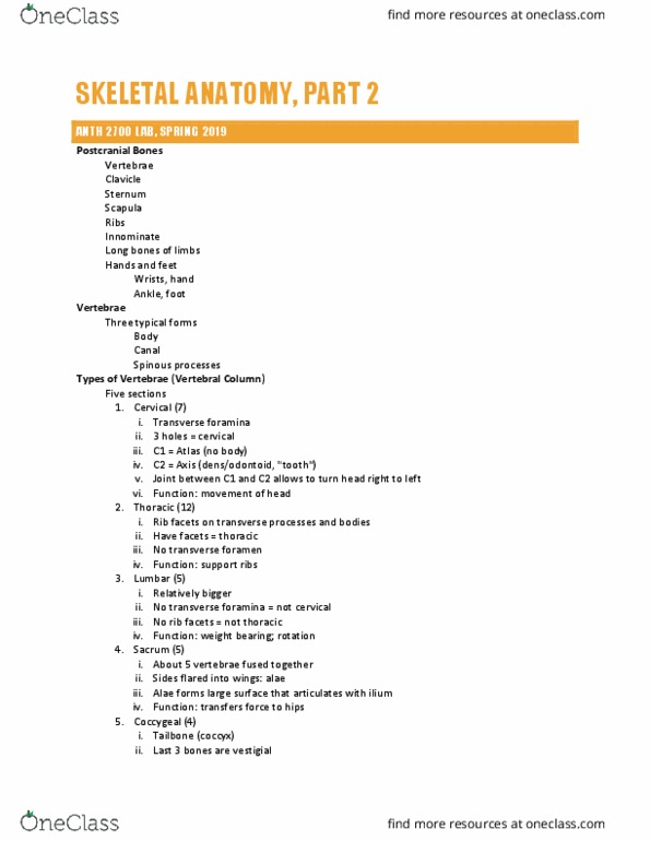 ANTH 2700 Lecture Notes - Lecture 2: Hip, Metacarpal Bones, Coccyx thumbnail