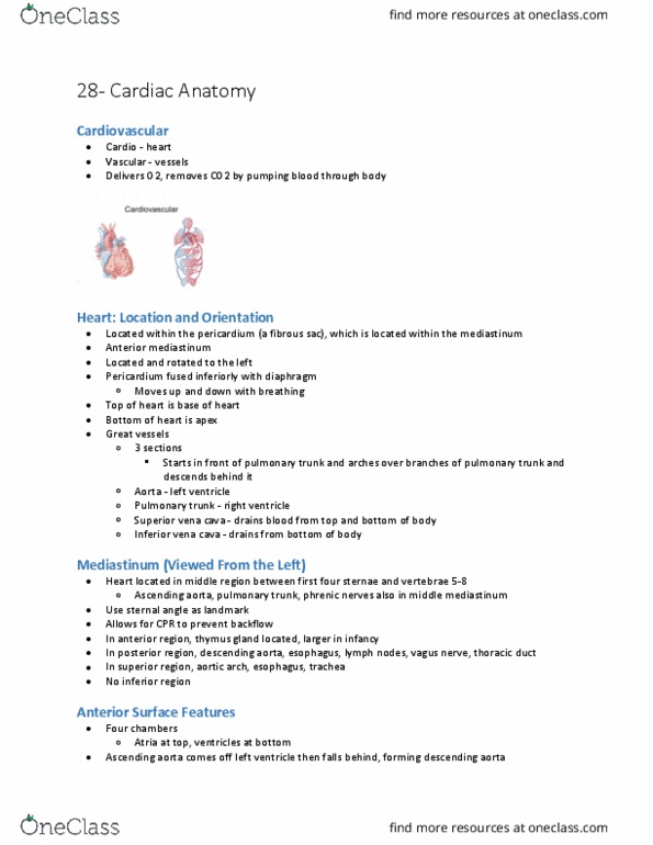 HTHSCI 1H06 Lecture Notes - Lecture 1: Inferior Vena Cava, Superior Vena Cava, Anterior Interventricular Branch Of Left Coronary Artery thumbnail