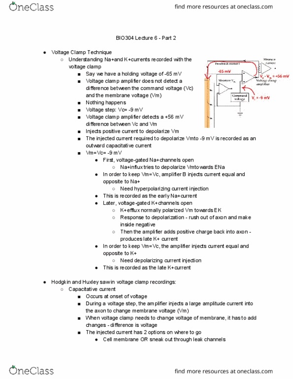 BIO304H5 Lecture Notes - Lecture 6: Voltage Clamp, Cell Membrane, Tetrodotoxin thumbnail