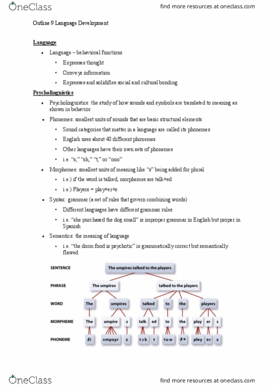 CAS PS 101 Lecture Notes - Lecture 9: Psycholinguistics, Jean Berko Gleason, Waggle Dance thumbnail