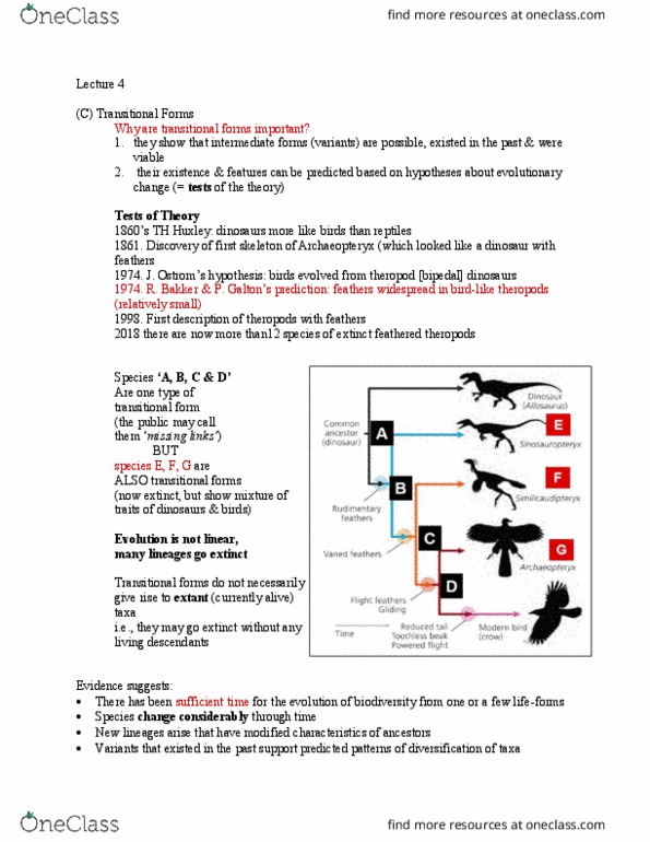 BIOB51H3 Lecture Notes - Lecture 4: Feathered Dinosaur, Theropoda, Transitional Fossil thumbnail