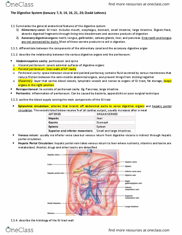 ANP 1107 Lecture 1: Digestive System Lecture notes Ch 23 thumbnail