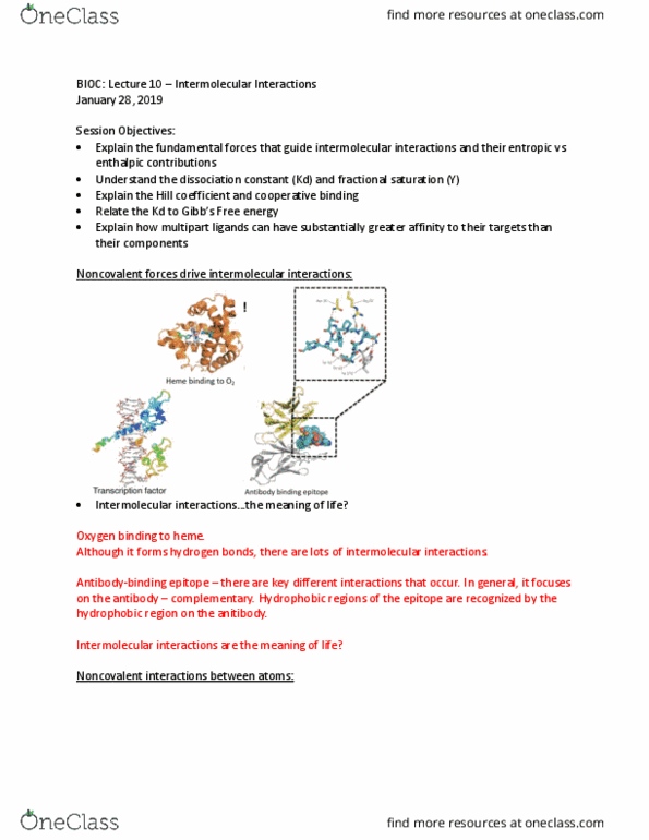 BIOC 2300 Lecture Notes - Lecture 10: Enthalpy, Gibbs Free Energy, Epitope thumbnail