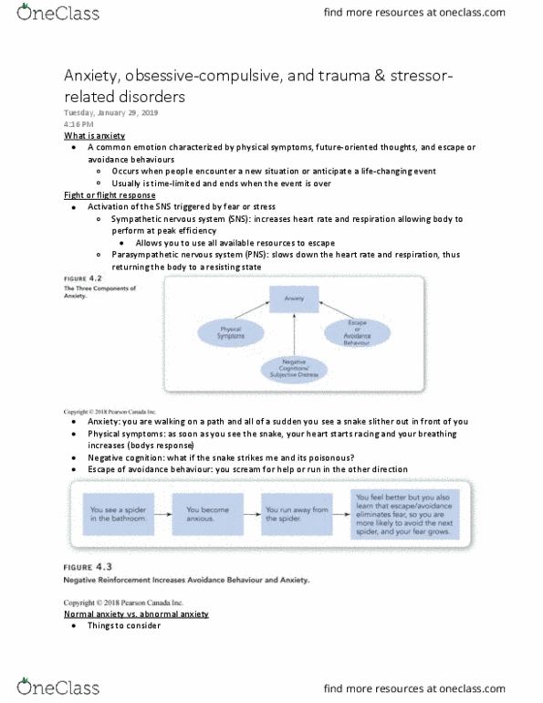 Psychology 2030A/B Lecture Notes - Lecture 4: Obsessive–Compulsive Disorder, Parasympathetic Nervous System, Sympathetic Nervous System thumbnail