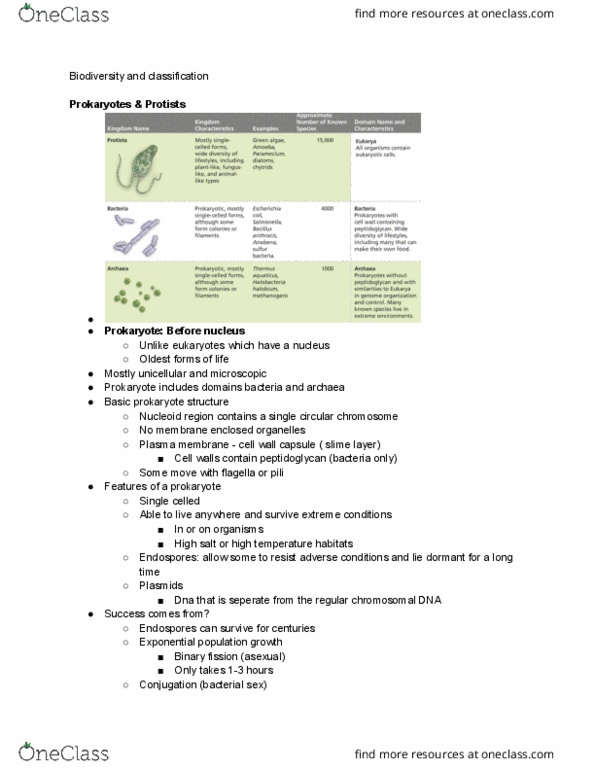 EBIO 1030 Lecture 27: ebio nov 6/8 thumbnail