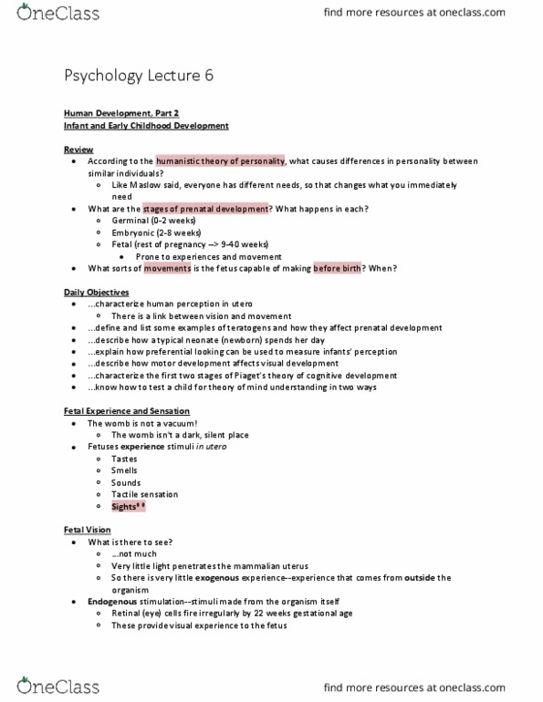 PSYA02H3 Lecture Notes - Lecture 6: Prenatal Development, Gestational Age, Fetus thumbnail