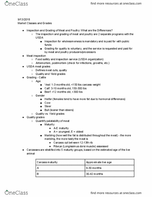 ANSC 1001 Lecture Notes - Lecture 5: Longissimus, Rib Eye Steak, Food Safety thumbnail