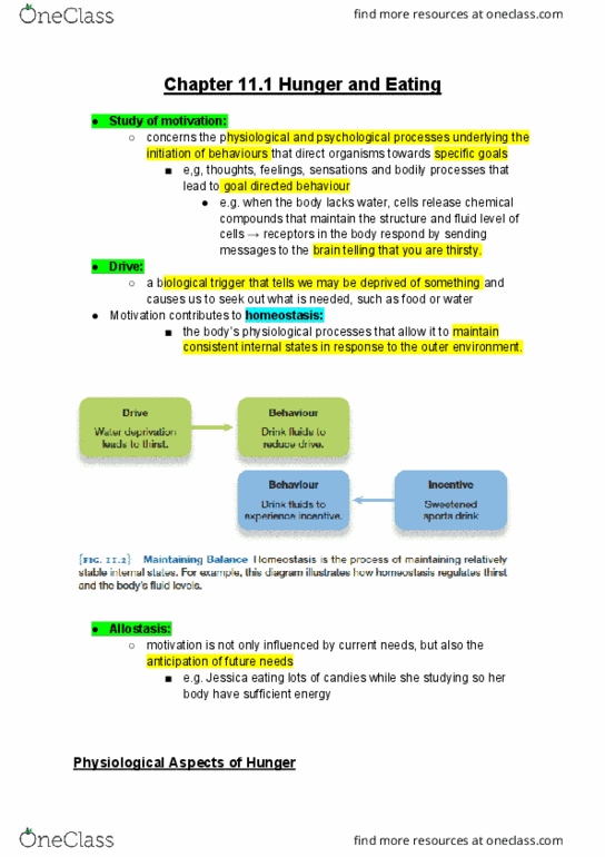 PSYA02H3 Chapter Notes - Chapter 11: Allostasis, Homeostasis, Insulin thumbnail