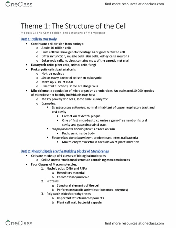 BIOLOGY 1A03 Chapter 1: Theme 1 Notes thumbnail