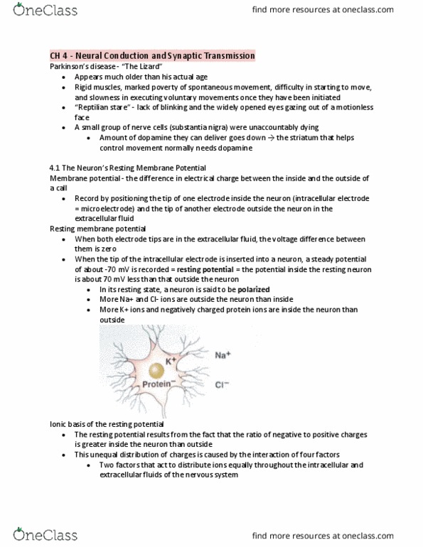 PSY 106 Chapter Notes - Chapter 4: Substantia Nigra, Extracellular Fluid, Resting Potential thumbnail