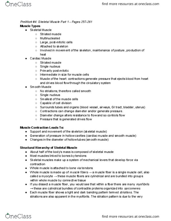 PHYSIOL 201 Chapter Notes - Chapter 4: Skeletal Muscle, Cardiac Muscle, Myofibril thumbnail