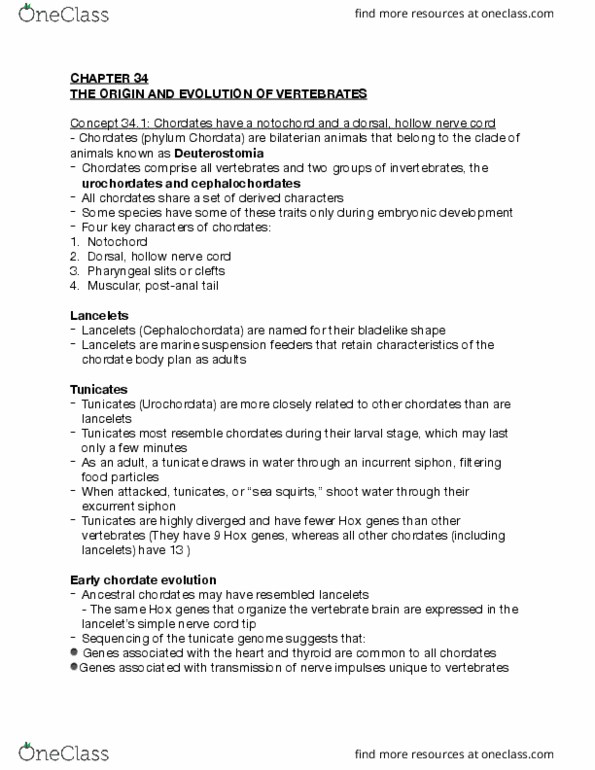 BIOL 1030 Lecture 11: The Origin and evolution of vertebrates thumbnail