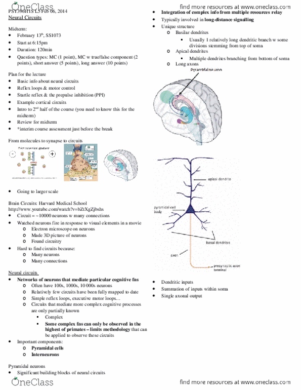 PSY396H1 Lecture Notes - Lecture 5: Anatomical Terms Of Motion, Striatum, Thalamus thumbnail