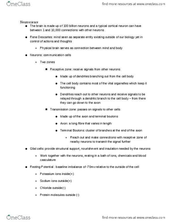 PSYCH 2AP3 Lecture Notes - Schwann Cell, Radial Glial Cell, Neuroglia thumbnail