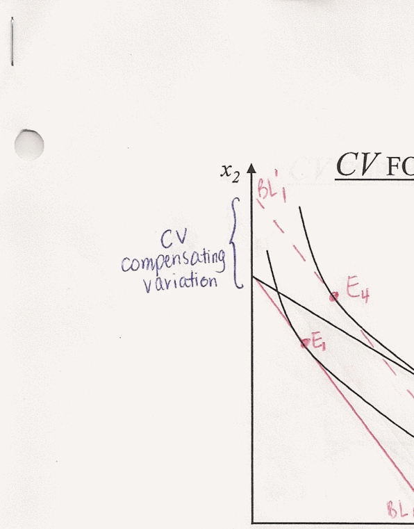 ECO205Y5 Lecture : CV Graph (Handout) I thumbnail