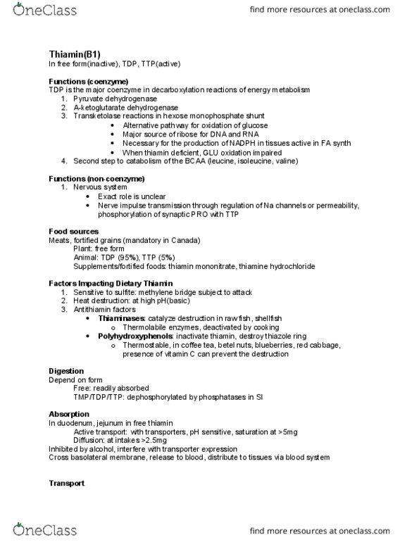 FNH 351 Lecture Notes - Lecture 1: Pentose Phosphate Pathway, Pyruvate Dehydrogenase, Thiazole thumbnail