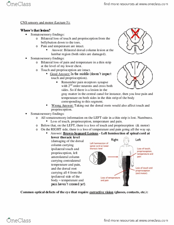 PHGY 209 Lecture Notes - Cyclic Guanosine Monophosphate, Vitreous Body, Ganglion Cell thumbnail