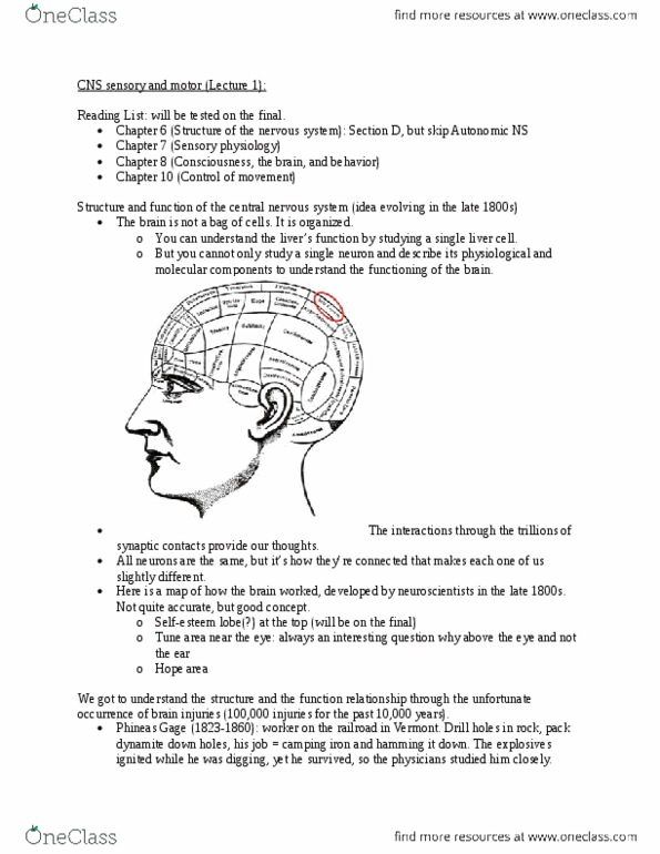 PHGY 209 Lecture Notes - Phineas Gage, Perfectly Clear, Motor Cortex thumbnail