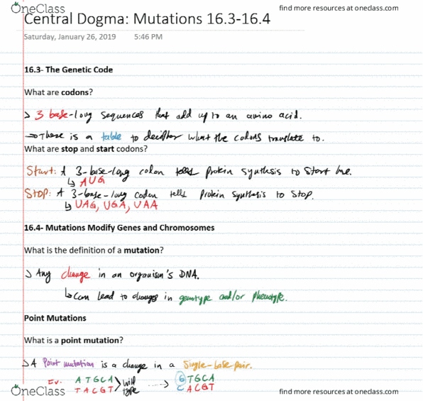 BIOL 200 Lecture Notes - Lecture 17: Silent Mutation, Polyploid, Point Mutation cover image