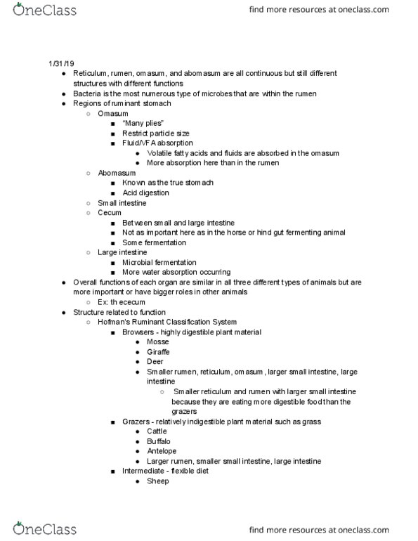 ANSC 1111 Lecture Notes - Lecture 4: Omasum, Abomasum, Rumen thumbnail