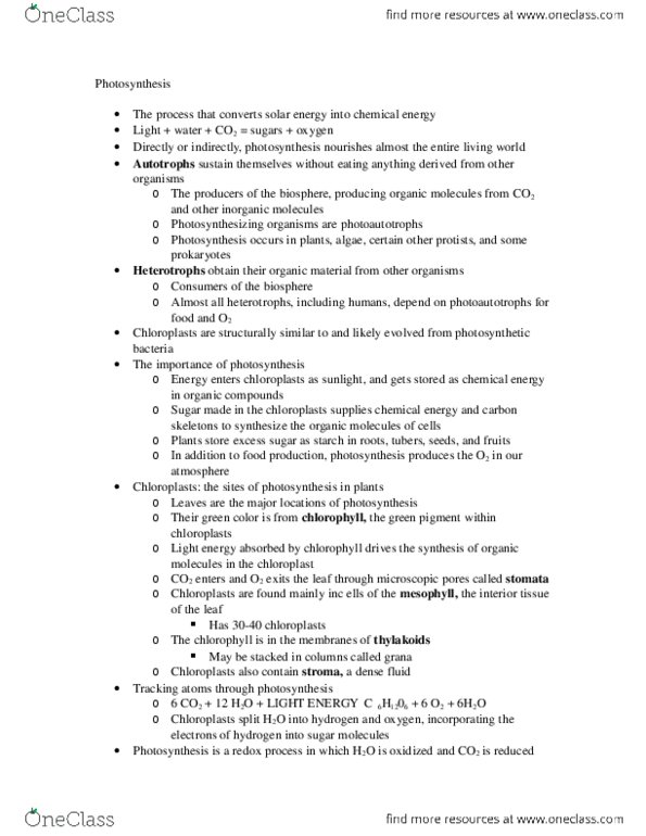 BIOL 1101 Lecture Notes - Photosynthesis thumbnail