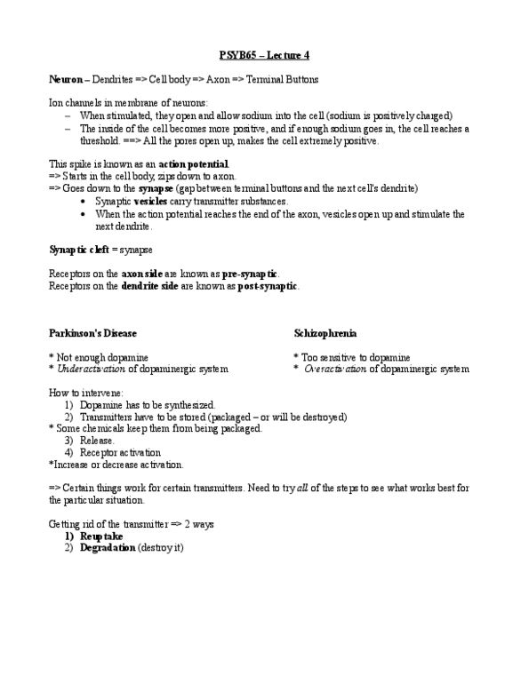 PSYB65H3 Lecture Notes - Lecture 4: Reuptake, Spasms, Generalised Tonic-Clonic Seizure thumbnail
