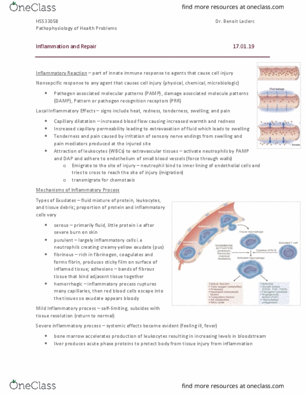 HSS 3305 Chapter Notes - Chapter 4: Innate Immune System, Vascular Permeability, Exudate thumbnail