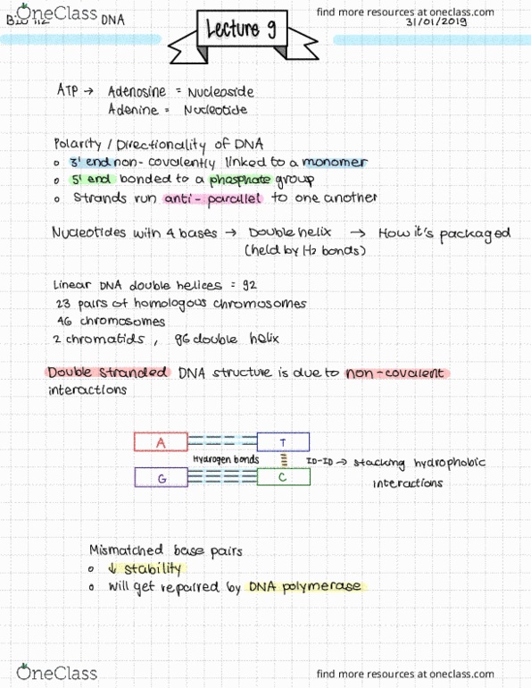 BIOL 112 Lecture 9: DNA cover image