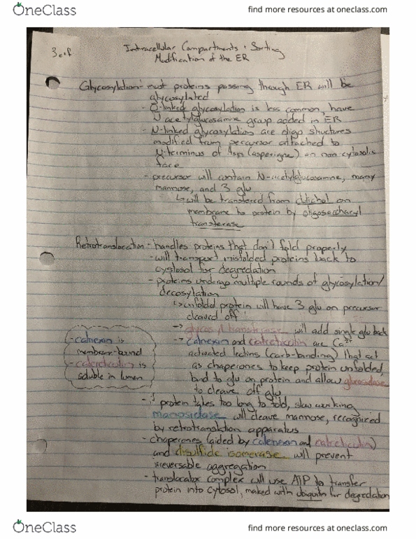 Class Notes for BIOL331 at University of Waterloo (UW) - OneClass