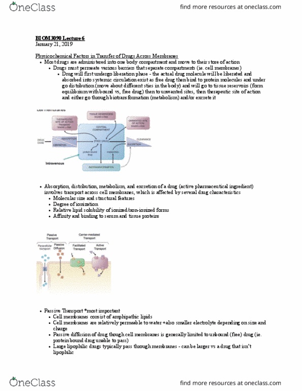 BIOM 3090 Lecture Notes - Lecture 6: Active Ingredient, Lipophilicity, Biotransformation thumbnail