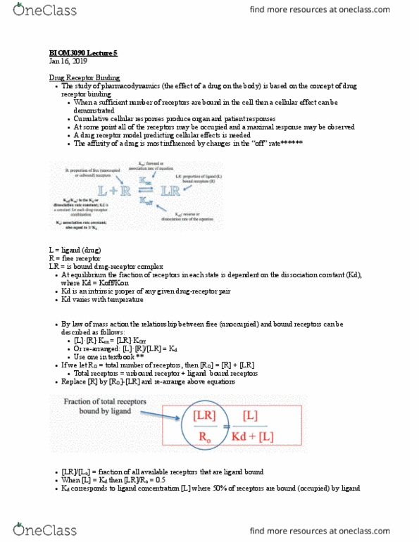 BIOM 3090 Lecture Notes - Lecture 5: Dissociation Constant, Pharmacodynamics, Therapeutic Index thumbnail