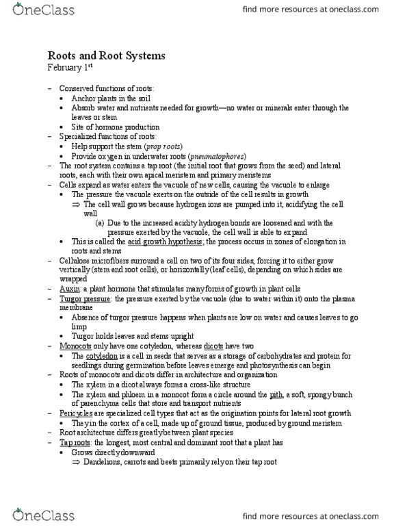 PBIO 004 Lecture Notes - Lecture 7: Turgor Pressure, Taproot, Dicotyledon thumbnail