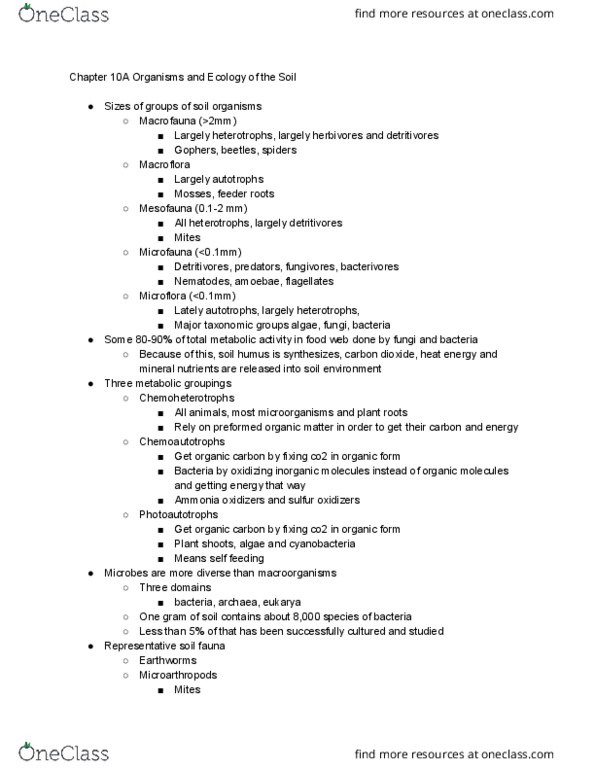 PLSC204 Lecture Notes - Lecture 24: Detritivore, Microfauna, Microbiota thumbnail