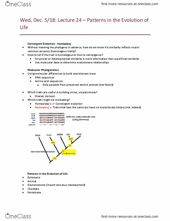 Biology 1201A Lecture Notes - Lecture 24: Convergent Evolution, Deuterostome, Chordate thumbnail