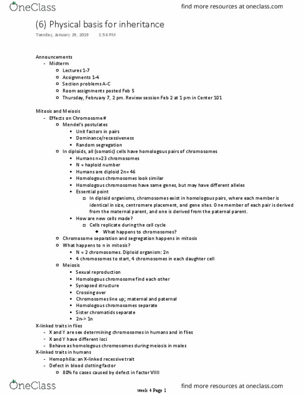 BICD 100 Lecture Notes - Lecture 6: Ploidy, Coagulation, Haemophilia thumbnail