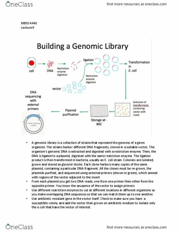 MBIO 4440 Lecture 9: Microbial Genomics thumbnail