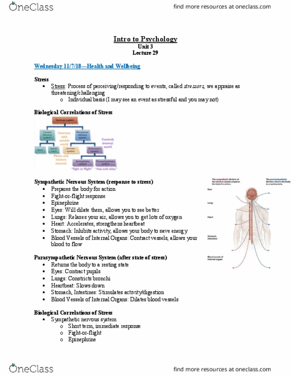 L33 Psych 100B Lecture Notes - Lecture 29: Sympathetic Nervous System, Bronchus, Stressor thumbnail