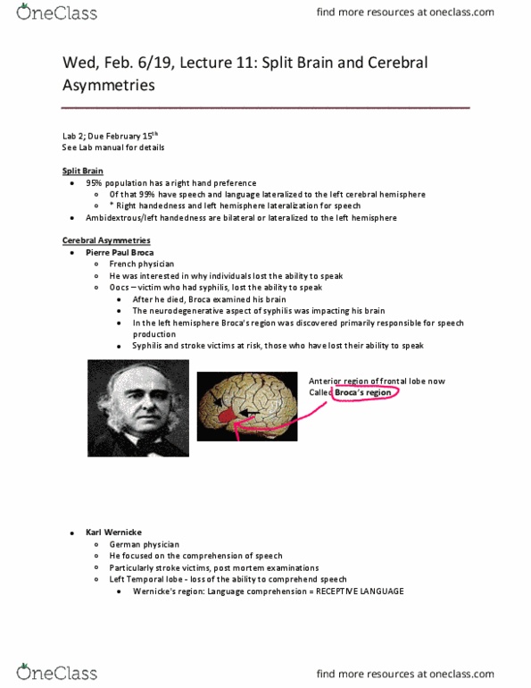 Kinesiology 1080A/B Lecture Notes - Lecture 11: Paul Broca, Carl Wernicke, Autopsy thumbnail