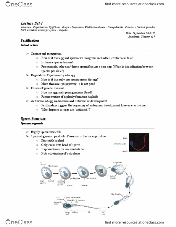 BIOL303 Lecture 4: September 20, 25 thumbnail